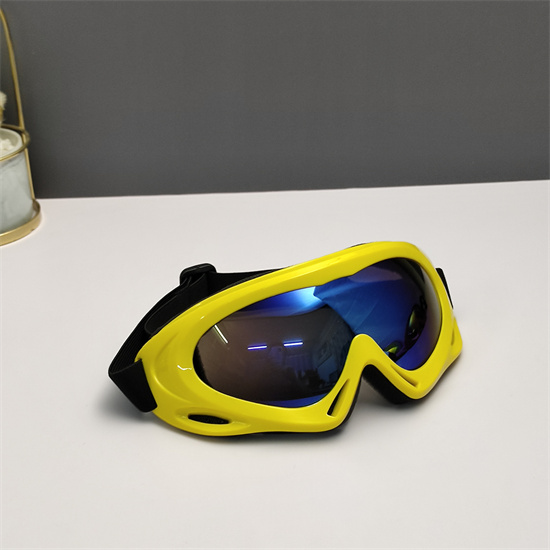 Oakley Ski Goggles 019